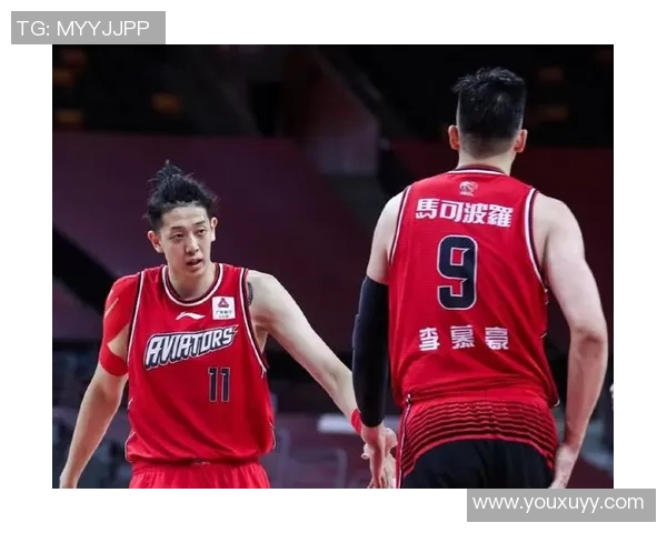 2013年CBA季后赛深圳队对阵广东队的精彩对决回顾与分析